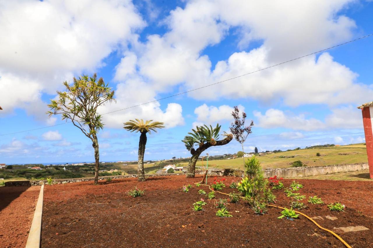 Quinta Do Falcao Almagreira  ภายนอก รูปภาพ